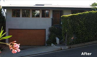 netter project after