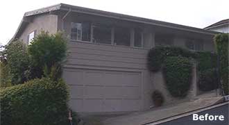 netter project before